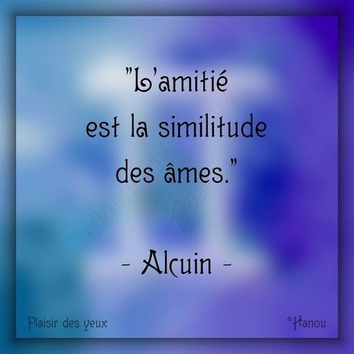 Proverbes Citations La Vache Rose