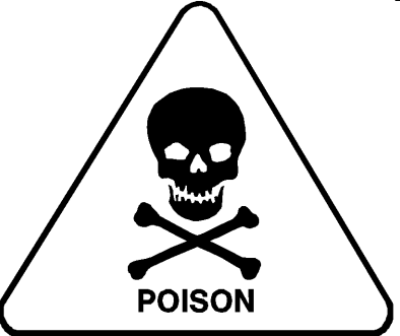 13° dimanche du Temps ordinaire B (Sagesse 1, 13-15 . 2, 23-24) (DiMail 222)