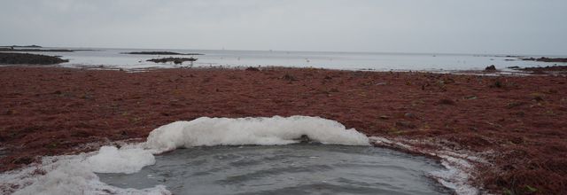 Pêche respectueuse de l'environnement avec Gwen