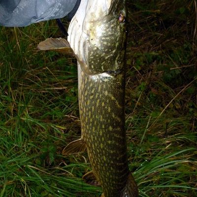 Nouveau record perso : 102 cm ! :o)