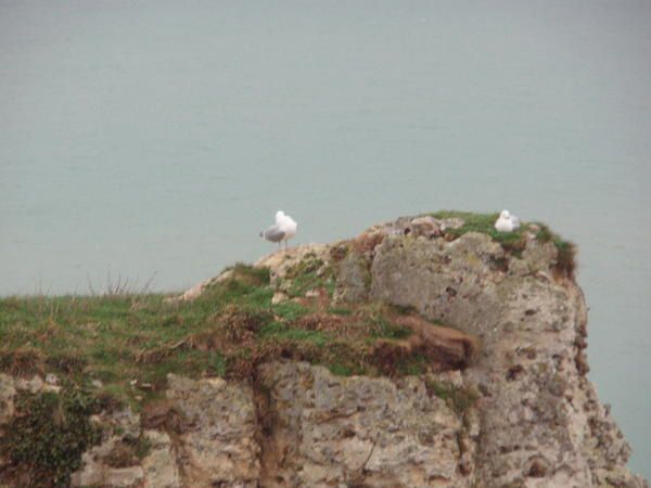 Album - Plages de Normandie