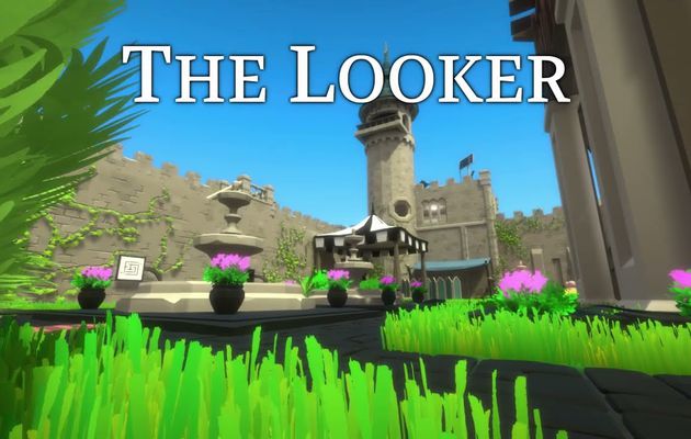 J'ai testé pour vous : The Looker