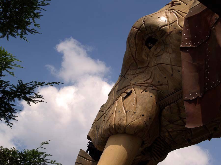 Eléphant de l'Ile de Nantes Royal de Luxe - Photos Thierry Weber Photographe La Baule Guérande