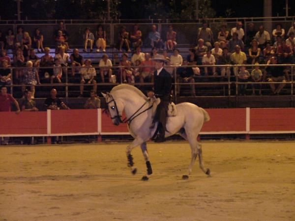 Quelques photos de tauromachie à cheval D'Alejandro Perez