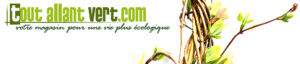Boutique en ligne