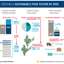 Nourrir 10 milliards de manière durable en 21 graphiques
