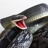 polliat - 1er décembre 2011 - insolite - inde - impôts - serpents