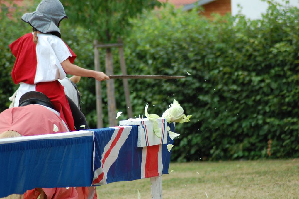 18.07.2010 Obergrombach
Burgfest mit mittelalterlichen Ritterspielen