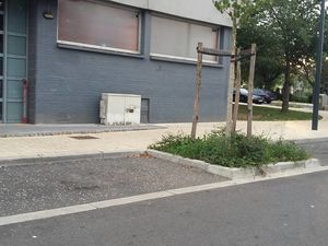 Cet été, les Béthunois peuvent constater que certains quartiers ne sont pas entretenues. Une véritable négligence de la majorité municipale.