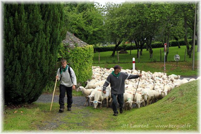 Album - Transhumance-stmamet