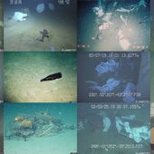 Deep-sea Debris Database
