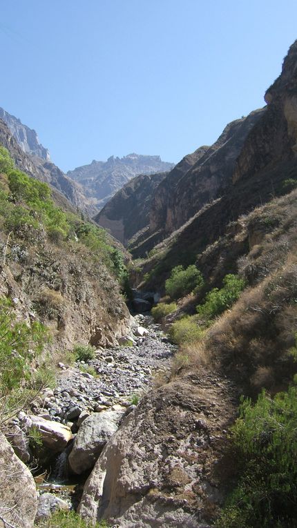 Album - Arequipa et Canyon de Colca