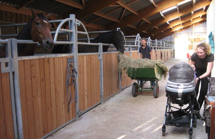 Les petits moments qui rythment la vie de l'Ecurie