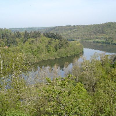 Les Flotteurs, les forestiers en chanson