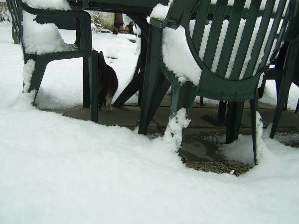 Découvrez notre maison sous 20 cm de neige !