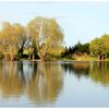 (Semaine 16 / 52) L'étang de Sainte Suzanne à St Coulomb