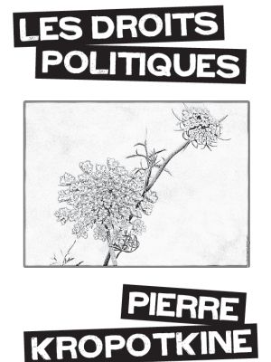 ★ Les droits politiques  