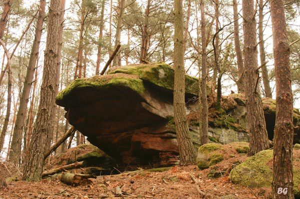 découverte des rochers des Vosges du nord