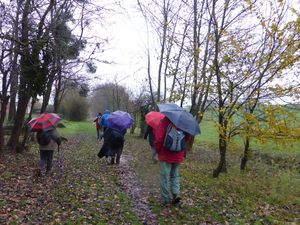 Capes et parapluies de rigueur !