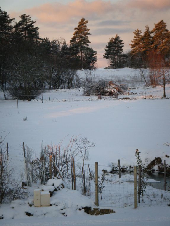 Une petite balade ce matin-là avec 5-6 cm de neige le soleil commencer a sortir ...