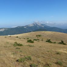 Montagne de la croix parfum lavandes