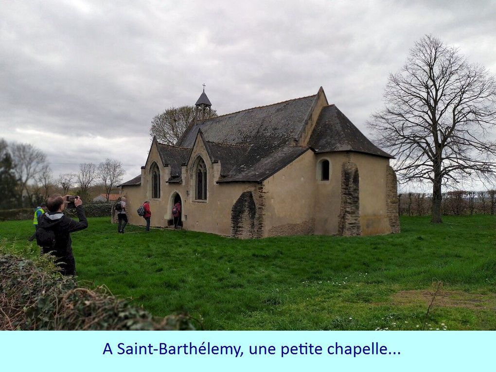 Les 8 km à Saint-Julien-de-Concelles