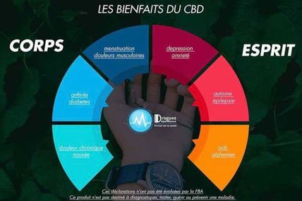 Le cbd dans la lutte contre l'anxiété, etudes medicales confirme les effets appaisants du cbd