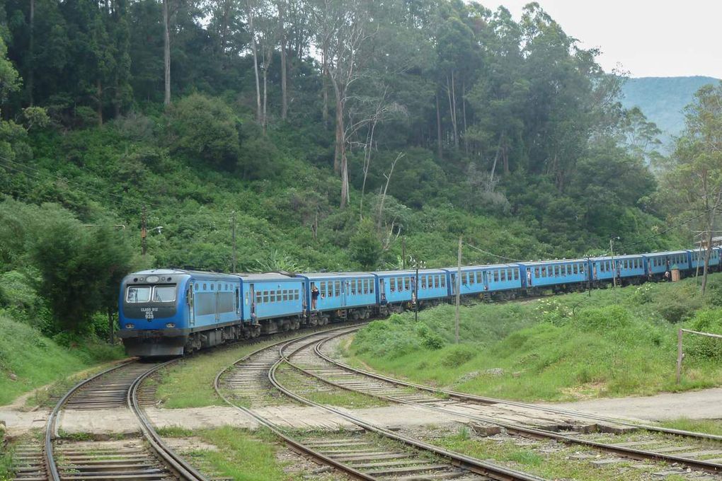 Sri Lanka : Le train à Ohiya