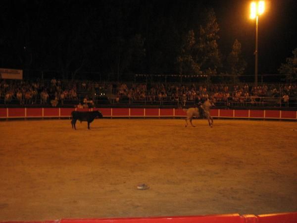 Quelques photos de tauromachie à cheval D'Alejandro Perez