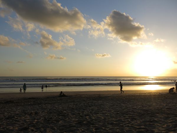 Un crabe vers la plage de Semyniak