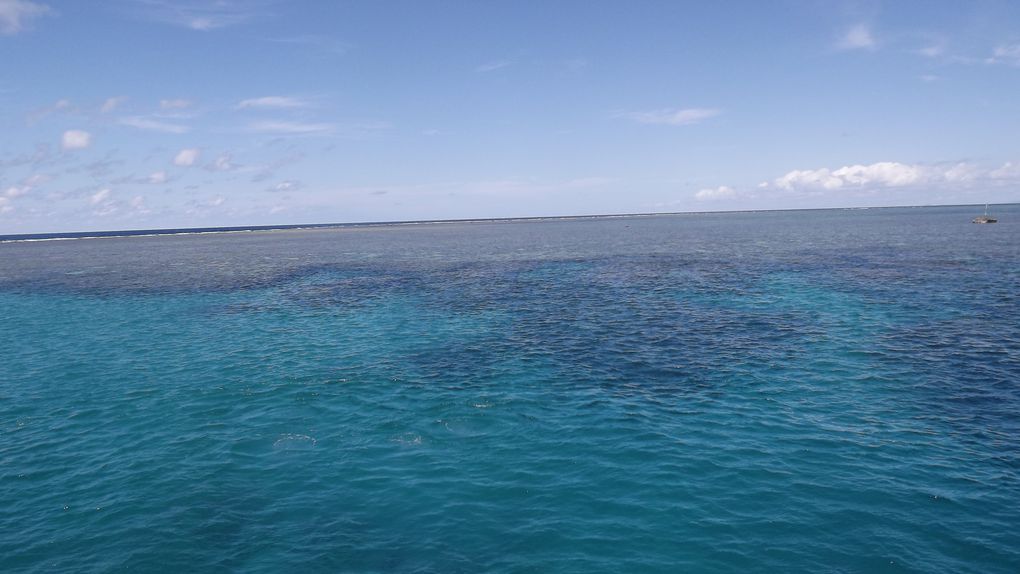 Dans le climat tropical du Queensland