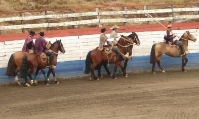 Rrrrrrrrrrrodeo... à la chilienne!