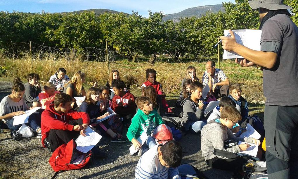 Natura i època medieval per la Diada de cohesio 6ena i 5ena a Sant Miquel de Cuixà