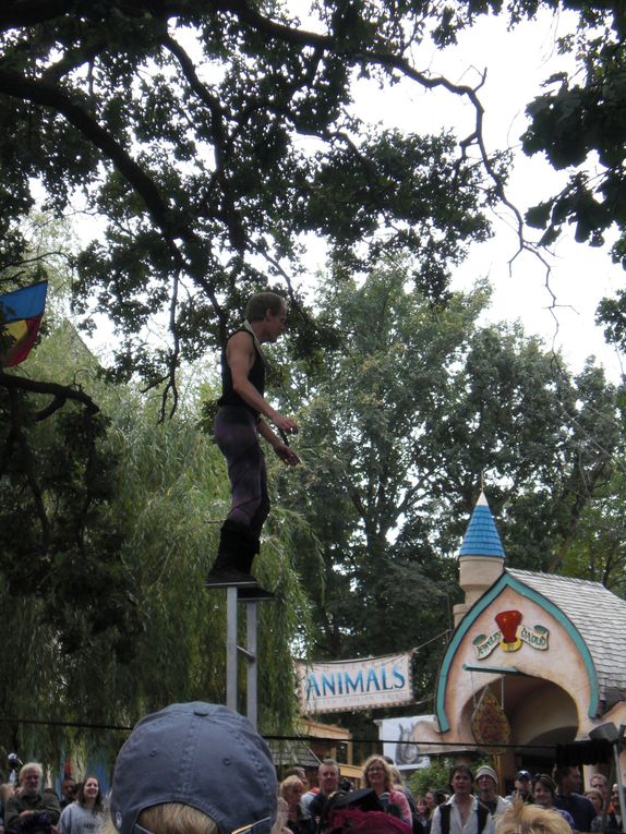 Album - renaissance-festival