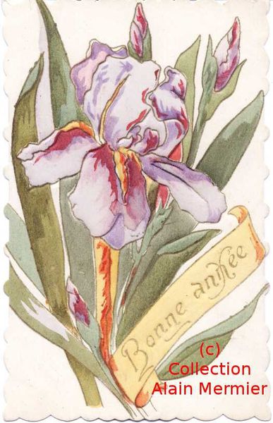 Iris -0664- Heureuse année.  Fillette et bouquet. France.1911.