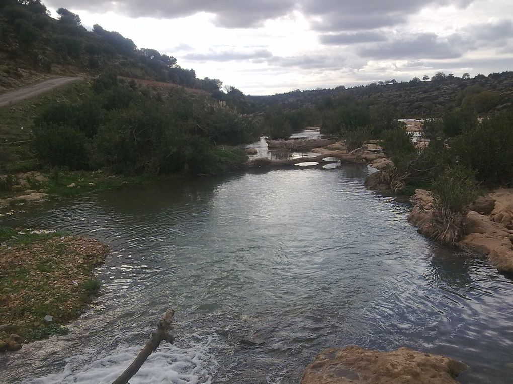 ville en Algerie commune de la daira de Machraa sfa wilaya de de Tiaret ou se trouve la mosqué de iben khaldoune et bien d'autres choses.