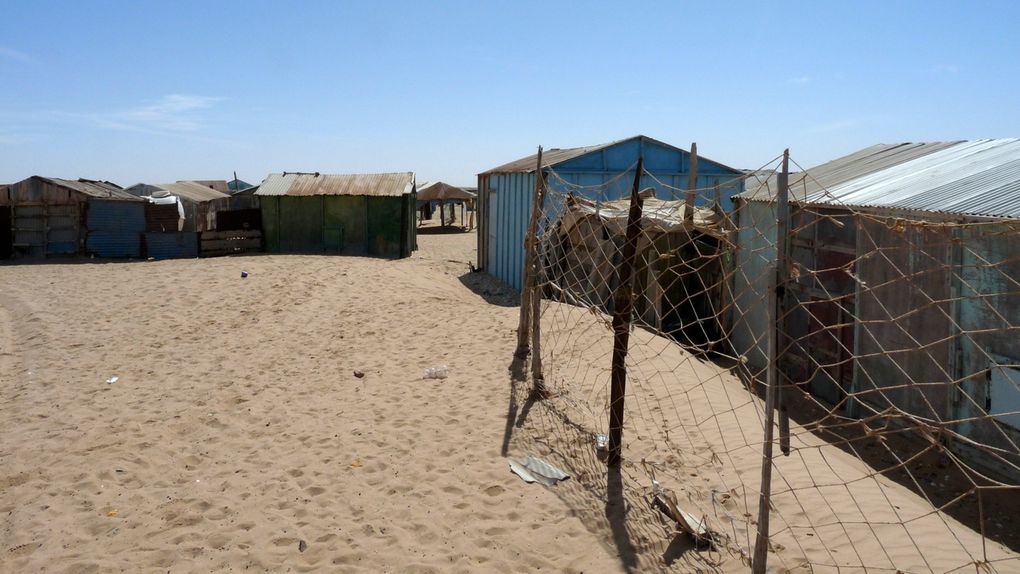 Mauritanie 2014 - Le Banc d'Arguin