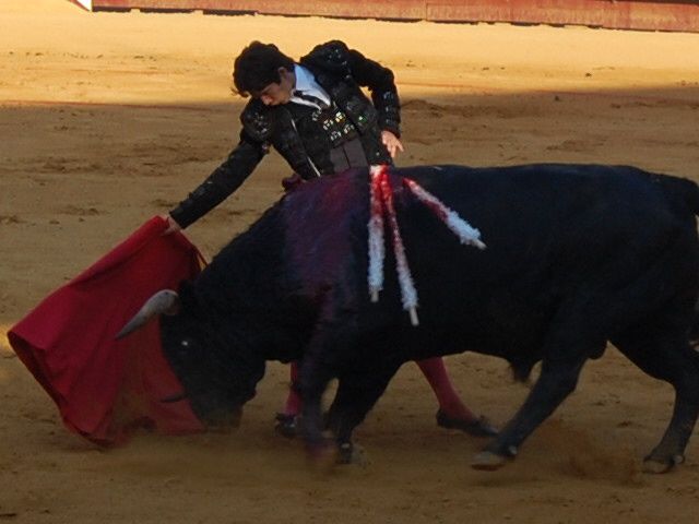 Album - Dax - Corrida du 16 août 2009