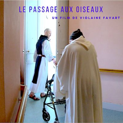 Le passage aux oiseaux