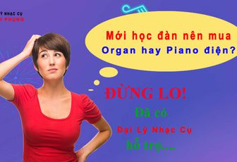 Mua Đàn Organ Hay Đàn Piano điện Cho người mới học