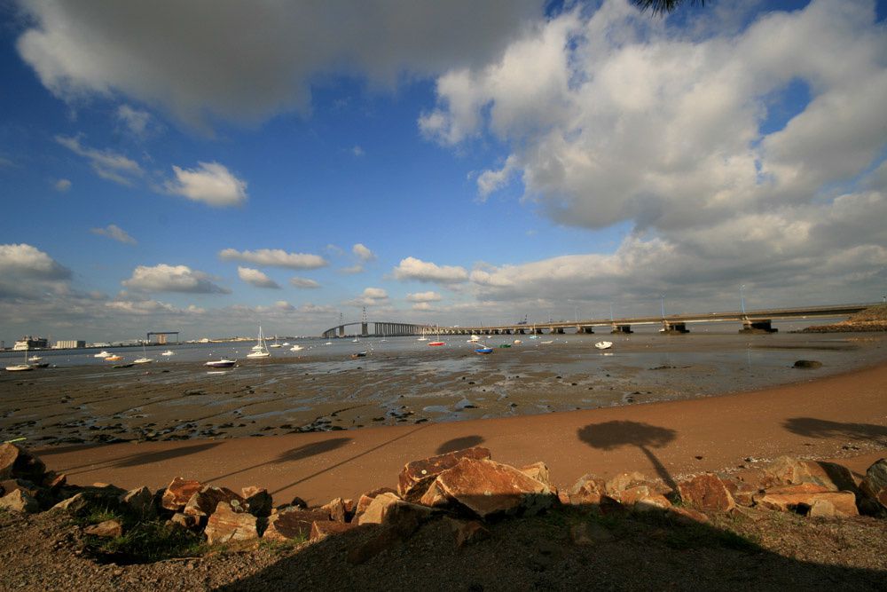 Album - Mindin-Estuaire-de-la-Loire