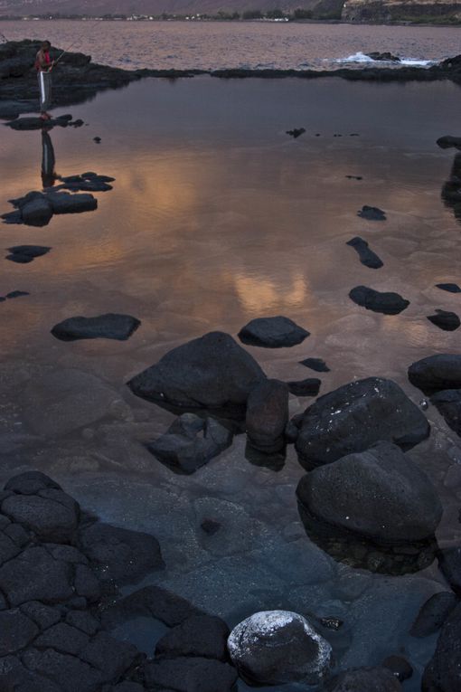 Méthode de suivi environnemental au Cap la Houssaye (Réunion) permettant d’évaluer l’état de santé d’un récif et de détecter des changements
écologiques liés à des perturbations naturelles ou humaines.