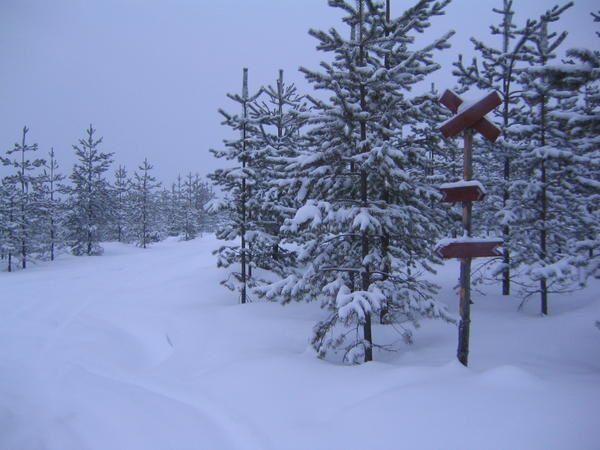 Une petite virée de quelques jours en Laponie finlandaise, début 2006