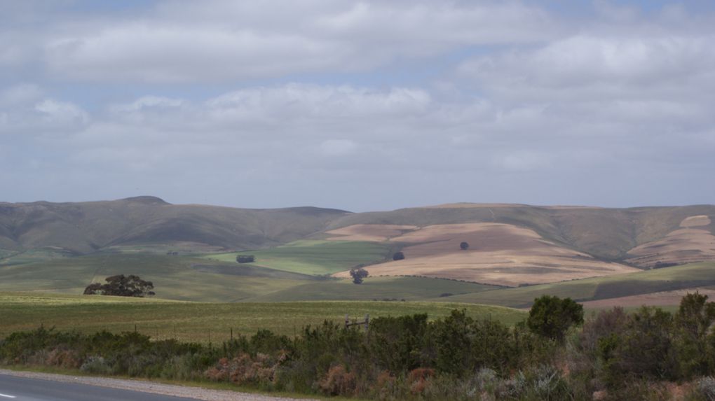 Album - La région de Cape Town