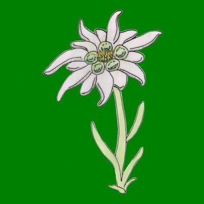 bd création edelweiss