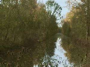 Promenade n° 29 de novembre 2018, Landrais, le canal de Charras.