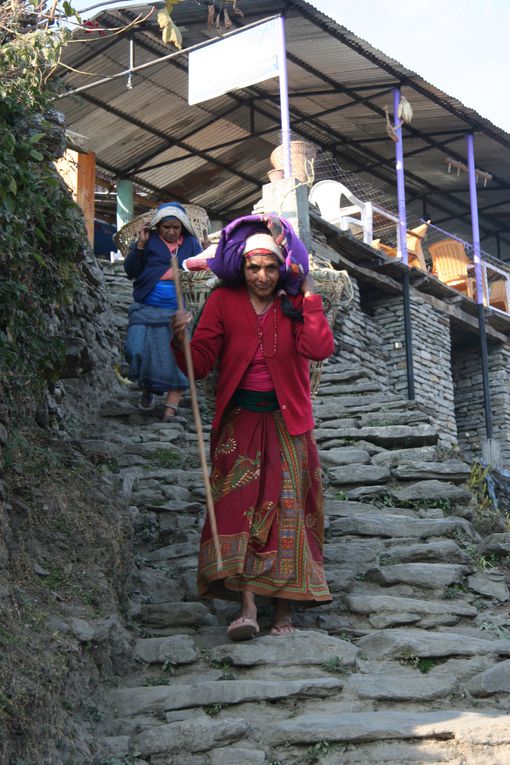 Album - Trek vers l'Annapurna Sud