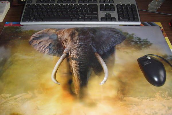 Album - Elephants (ma collection)