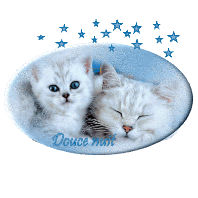 Douce nuit - Chats - Gif scintillant - Gratuit