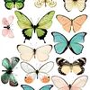 Envolée de papillons